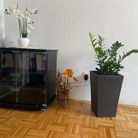 Apartment Miana Τρογκίρ Εξωτερικό φωτογραφία
